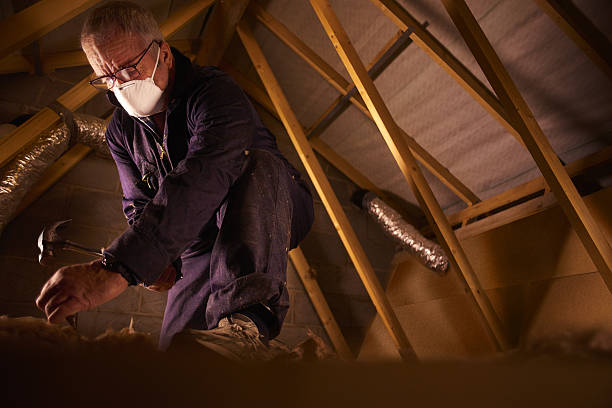 Best Insulation Inspection Services  in Fergus Falls, MN